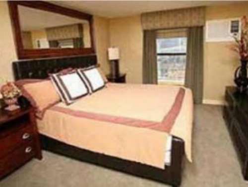 The Resort on Mount Charleston image 16